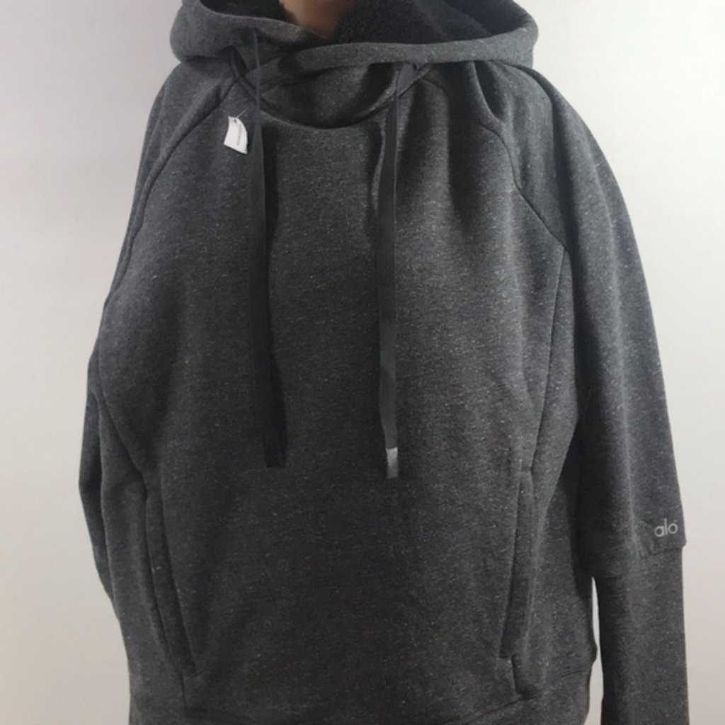 Nwot Alo Faux Sherpa Lined Hoodie In Gray Size M #Pm59